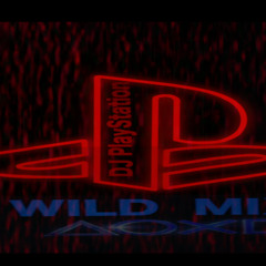 (WILD MIX) - DJ PlayStation