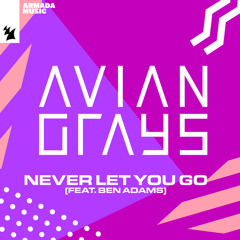 AVIAN GRAYS feat. Ben Adams - Never Let You Go