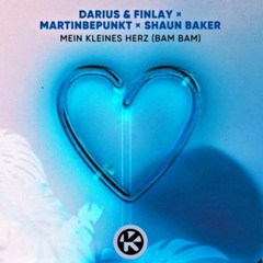 Darius & Finlay x MartinBepunkt x Shaun Baker - Mein kleines Herz (jyy's hardstyle remix)