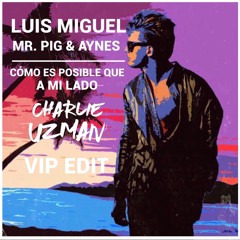 Luis Miguel X Mr. Pig & Aynes - Como Es Posible Que A Mi Lado (Charlie Uzman VIP Edit)