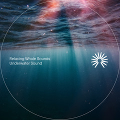 Relaxing Whale Sounds
