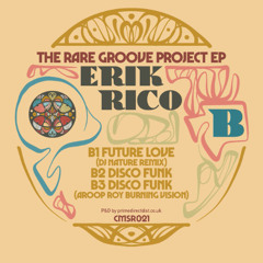 PREMIERE: ERIK RICO - FUTURE LOVE (DJ NATURE REMIX)