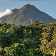 a call from the future