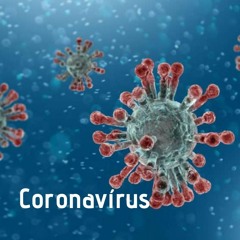 Coronavirus, tomando consciência desse momento