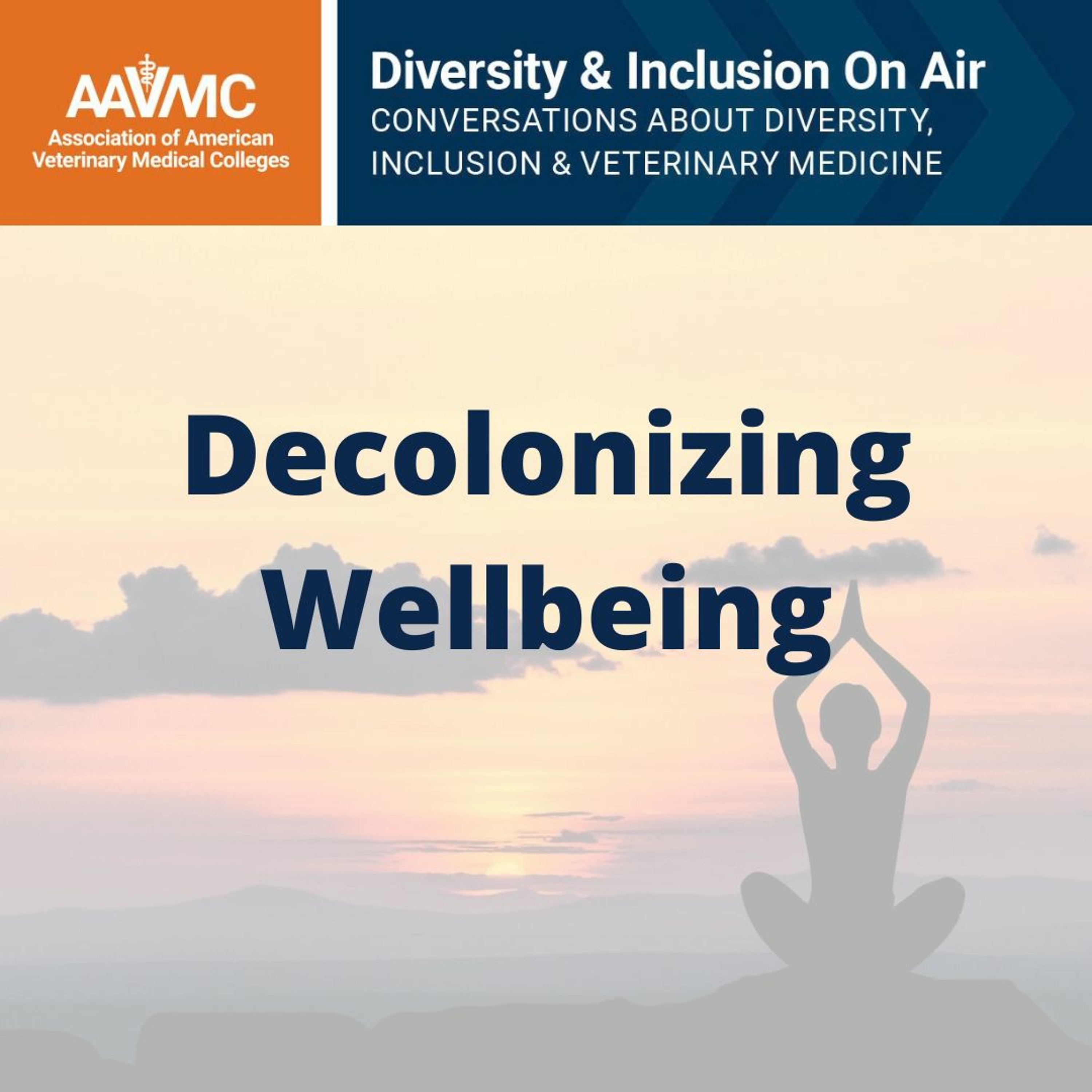 AAVMC\'s On Air: Conversations about Issues in Veterinary Medicine