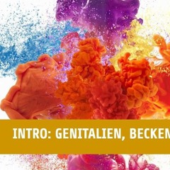 Genitalien und Beckenboden Intro.m4a
