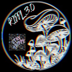 ɌI♇♇Ꮣ ᵗʳⁱᵖ ᵍᵘⁱᵈᵉ