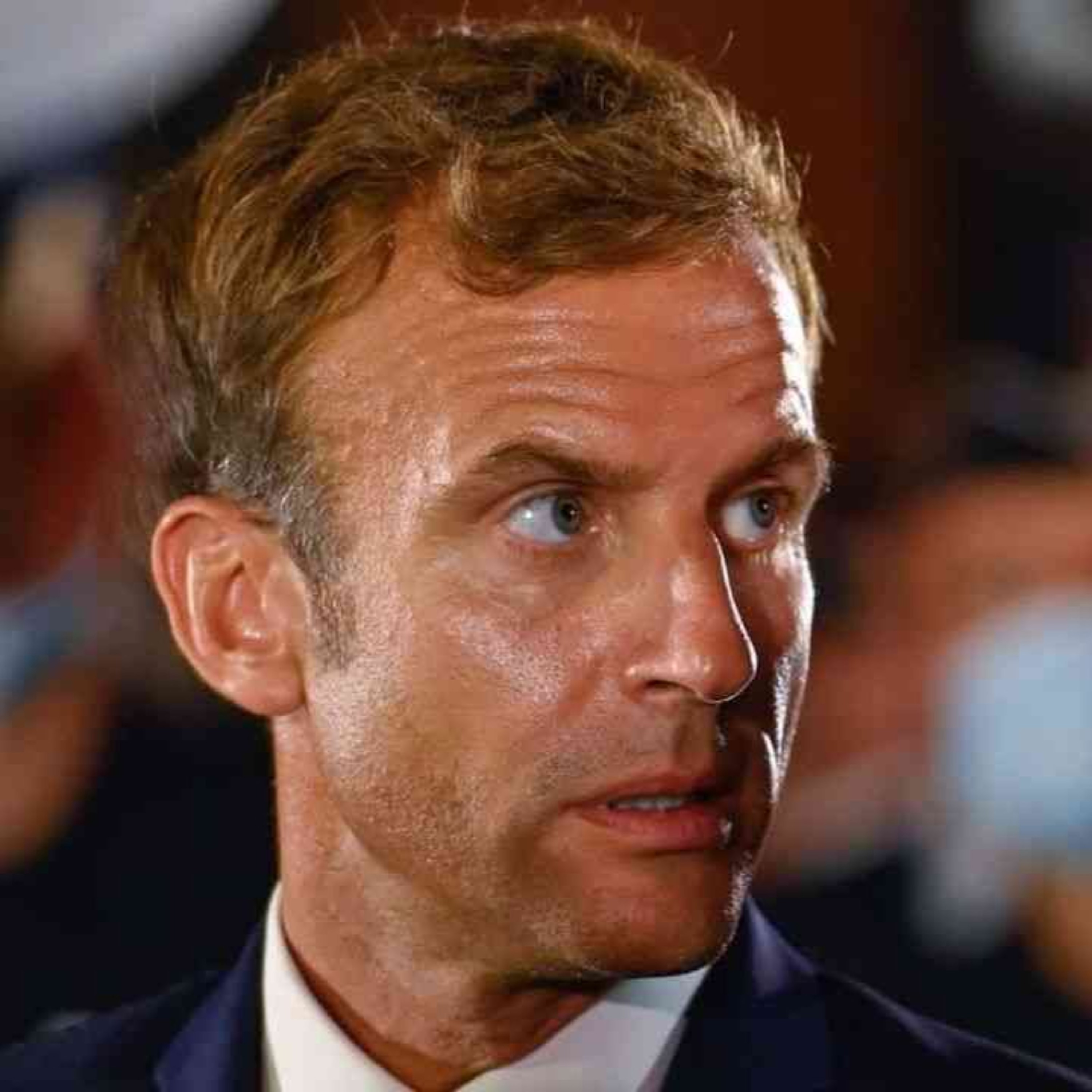 immobilier-company