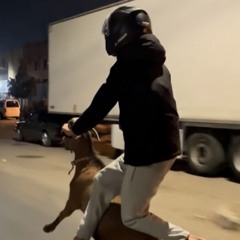 stock shaggy x crash and burn mix