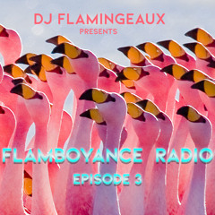 Flamboyance Radio Episode 003