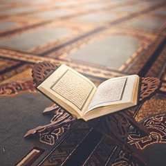 تِلاوات خاشِعة - قرآن