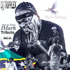 DJ TRIPPLEX IMARK TRIBUTE MIX OLD AND NEW MIX 2024.mp3