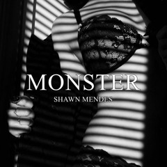 Shawn Mendes - Monster (Kizomba Instrumental) (Audio Official)