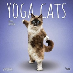 ACCESS PDF EBOOK EPUB KINDLE Yoga Cats OFFICIAL 2022 12 x 12 Inch Monthly Square Wall