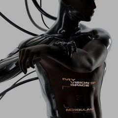 PREMIERE: Acidulant - Destruction Industries [Binding System]