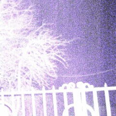 SALEM - NEVER LET V2