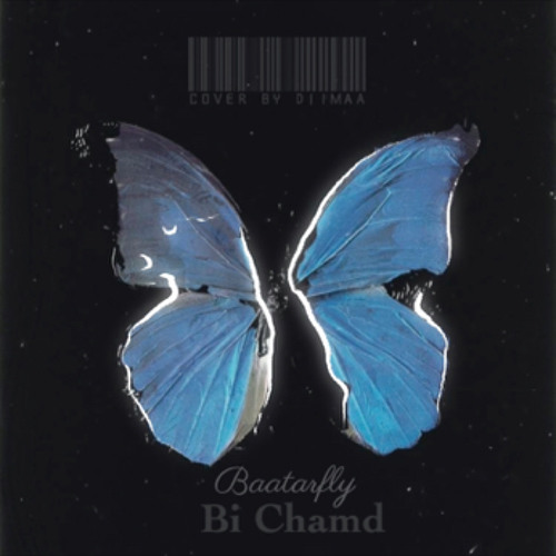 Baatarfly- Bi chamd | COVER BY DIIMAA🦋
