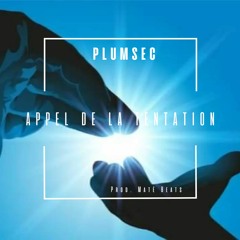 Plumsec - Appel De La Tentation