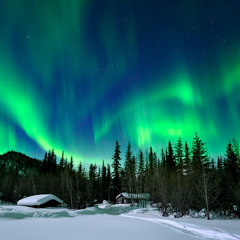 Wilderness (Free DL)