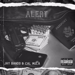 Alert (feat. CJ Banks)