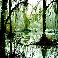 Sacred Explorations | Psytechy
