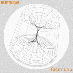 PREMIERE: Deaf Toucan – Right Now