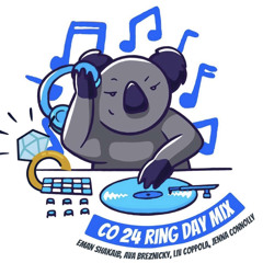 CO24 RING DAY MIX