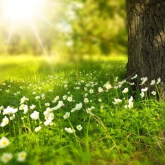 "Spring Is Coming" (midi mockup) Compose & Orchestration By Yi Zhang