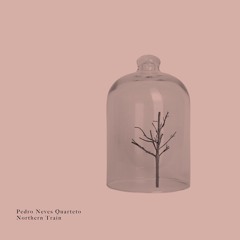 04 - Pedro Neves - Two Sides Of The Same Coin.wav