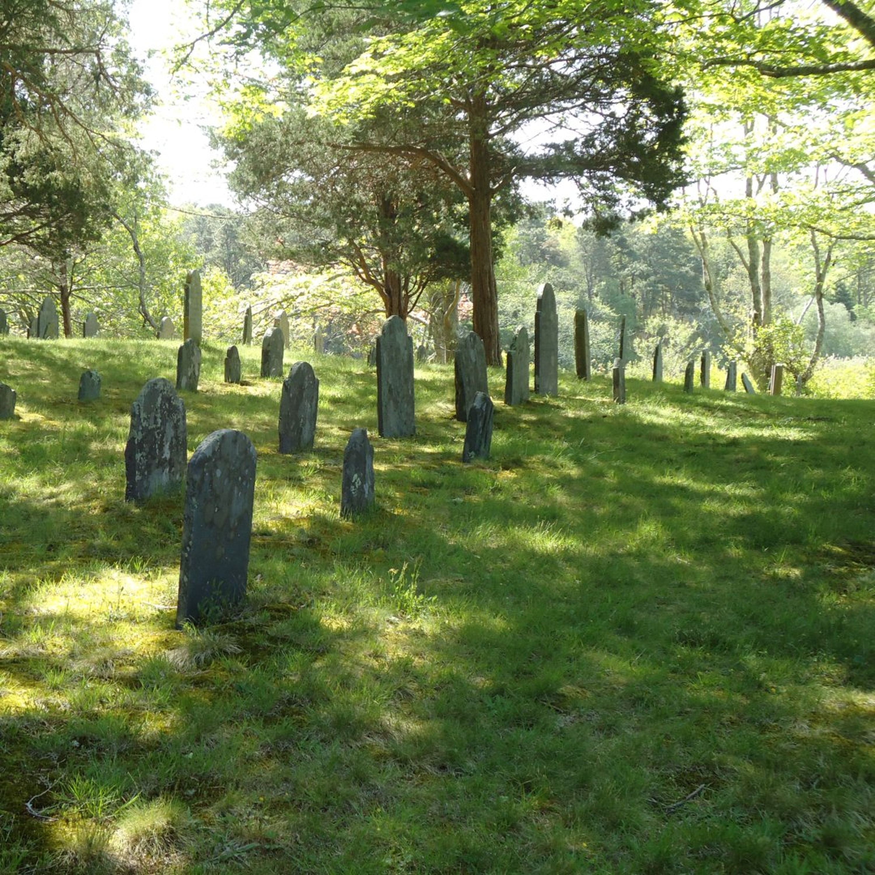 What Happens to Abandoned Cemeteries?