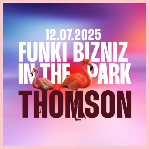Thomson Funki in the park 12.07.2025 Studio mix