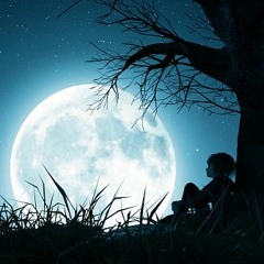 Sit Alone