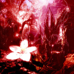 lost_2