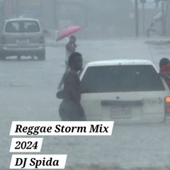 Reggae Storm Mix 2024