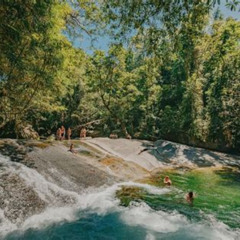 Best Atherton Tablelands Waterfalls And Rainforest Day Tour Departing Cairns Tours Review