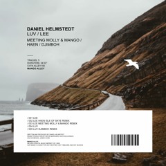 DANIEL HELMSTEDT Luv (Djimboh Remix)