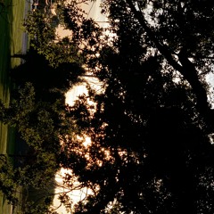 shadows