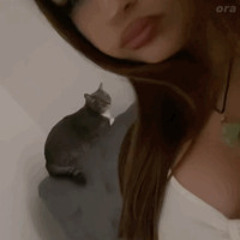 замигает свет (Hardstyle)