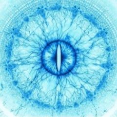 unwatchfuleyeneverwatchersnogos