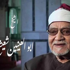 الشيخ أبوالعينين شعيشع