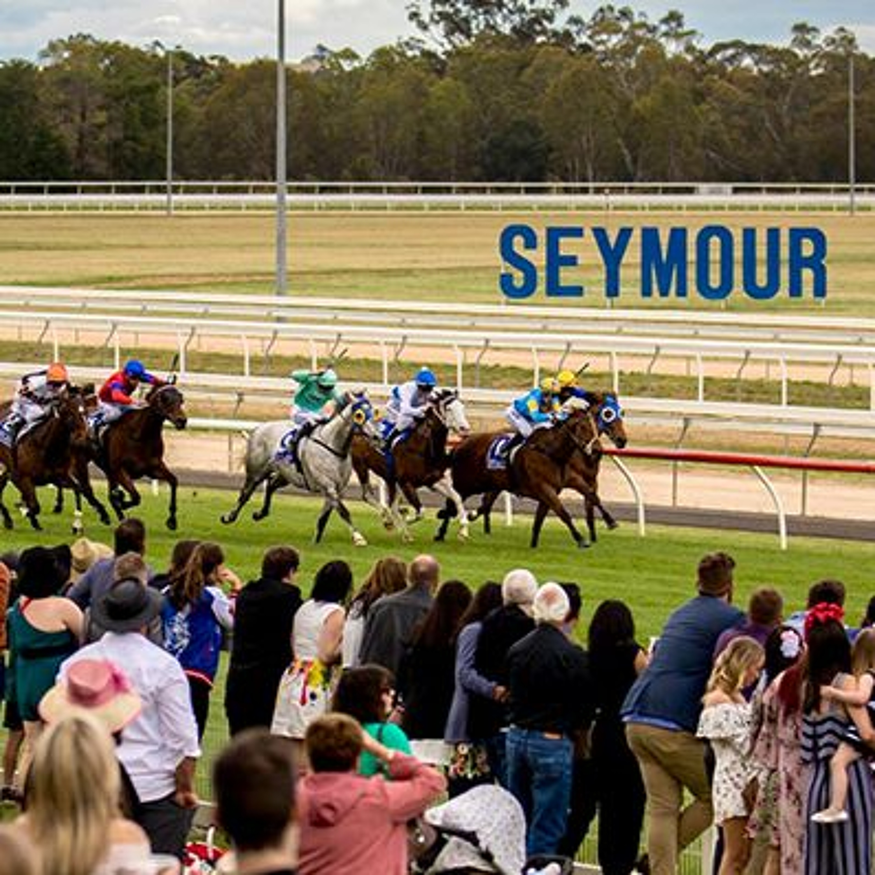 Seymour 27th Aug Punting Preview