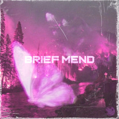 BRIEF MEND