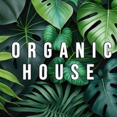 organicHouse week1
