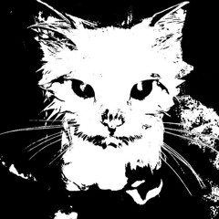 SEFA | FEEL THE GROOVE | HARD GROOVE SET