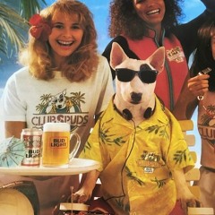 Summer 198X (Synthwave)