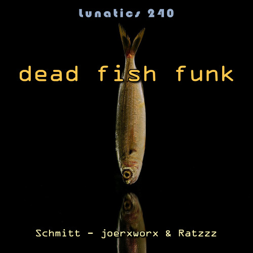 Lunatics 240 / dead fish funk / Schmitt - joerxworx & Ratzzz