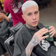 Zé povinho