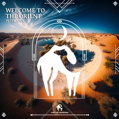 Peter Soul - Welcome To The Orient (Cafe De Anatolia)