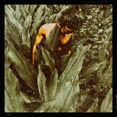 Papaya Playa Project Tulum: Puñado De Agua