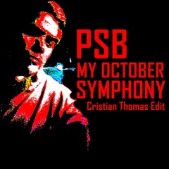 PET SHOP BOYS - MY OCTOBER SYMPHONY (CRISTIAN THOMAS EDIT)